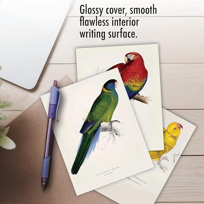 The Best Card Company - 10 Assorted Blank Notecards Bulk Box Set 4 x 5.12 Inch with Envelopes (10 Designs, 1 Each) - Birds of a Feather M6034