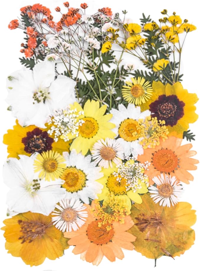 YouthBro Dried Pressed Flowers for Resin Molds,Real Natural Pressed Flowers for DIY Art Crafts,Candle Making, Nails Décor,Soap Making, Phone Case Yellow White