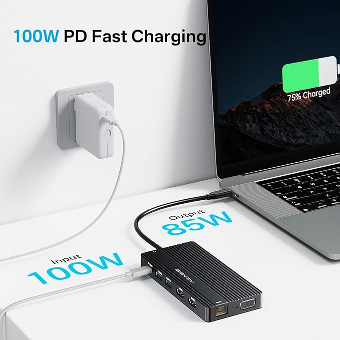 USB C Docking Station Dual HDMI Monitor, Laptop Docking Station 3 Monitors, 2 * 4K HDMI+1080p VGA+100W PD+Ethernet+3 USBC 10Gbps+SD/TF+Audio Adapter, USB C Hub for Dell/Lenovo/HP/ThinkPad(Black)