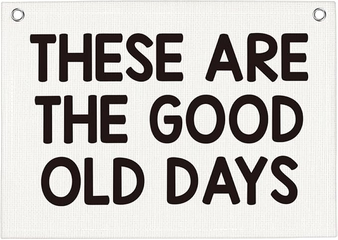Cute These Are The Good Old Days Banner Vintage Banner Wall Decor Wall Hanging Boys Girl Play Bedroom Dorm Room Decor 22x28 Inch