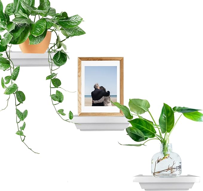 Small Shelves Set of 3 | 6 in x 4 in | Decorative Mini Shelves| Wall Mounted Shelves for Bathroom, Living Room, Kitchen, Bedroom, and Office