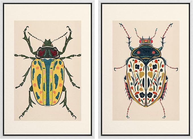 SIGNWIN Framed Canvas Print Wall Art Set Colorful Beetle Vintage Insect Illustrations Modern Art Minimal Boho Colorful for Living Room, Bedroom, Office - 16"x24"x2 WHITE