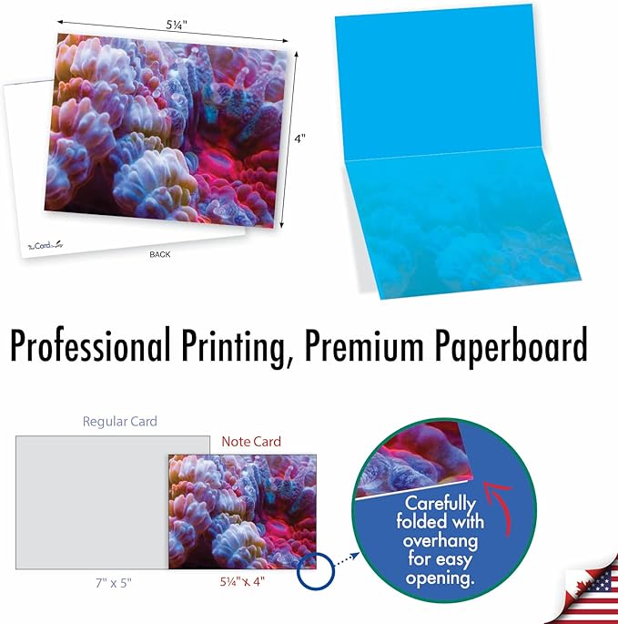 The Best Card Company - 10 All Occasion Blank Cards for Men and Women (4 x 5.12 Inch) - Nautical, Ocean, Sea Life Assortment of Notecards - Under the Sea M3103
