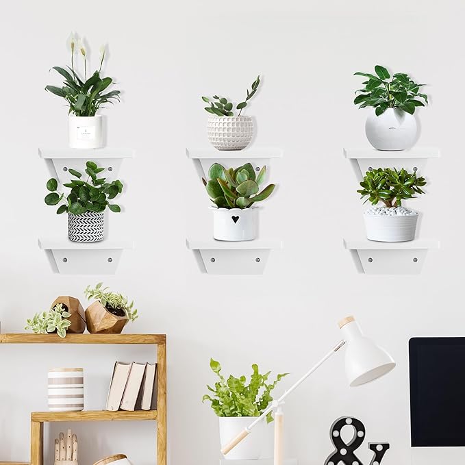 PHOENANCEE Small Floating Shelves,Speaker Shelf,Trapezoid Wall Shelf for Table Lamp Plants Display,Decorative Wood Ledges Chic for Living Room,Bedroom,Kitchen,Office,Pine,8x6 Inch,4 Pack(White)