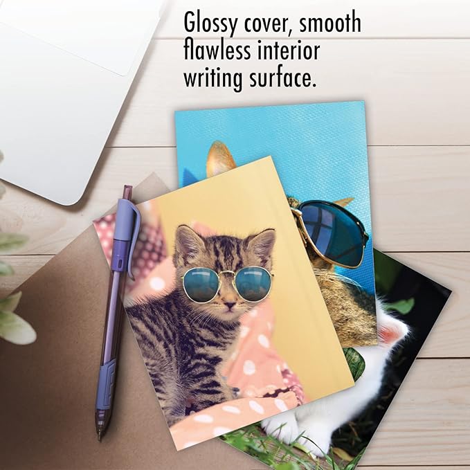 The Best Card Company - 10 Adorable Blank Cat Cards (4 x 5.12 Inch) - Cute Pet Kittens, Assorted Bulk Notecard Set - Kool Kitties AM6891OCB-B1x10