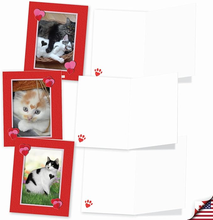 The Best Card Company - 10 All Occasion Blank Cat Cards (4 x 5.12 Inch) - Cute Assorted Bulk Card Set - Heartfelt Cats M5658OCB-B1x10