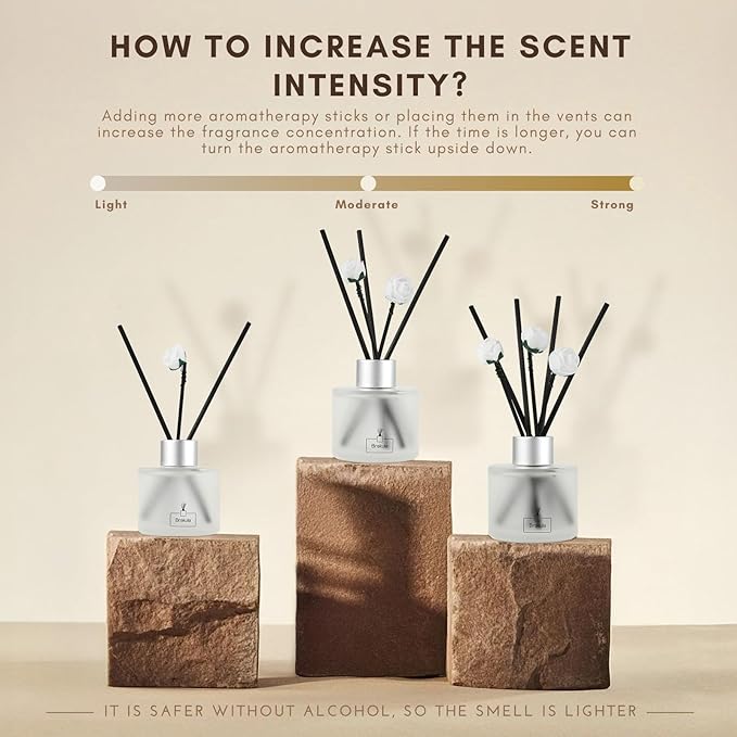 Brakula 2 Pack Reed Diffuser Set, Eucalyptus & Mint Scented, Home Fragrance with 14 Sticks Bathroom Decor, Reed diffusers for Home 6.76 fl oz (Eucalyptus & Mint)