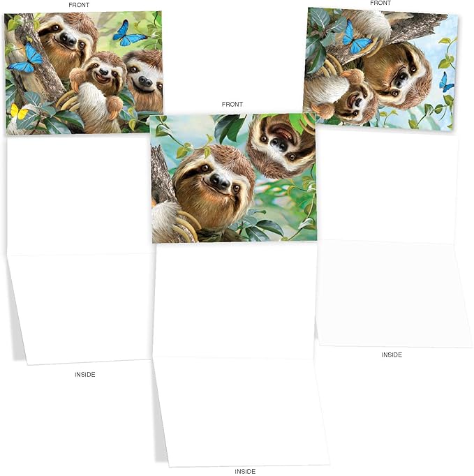 The Best Card Company - 10 Blank Animal Cards Boxed (4 x 5.12 Inch) - Assorted Pets, Zoo, Wildlife Cards - Smiling Sloths AM6864OCB-B1x10