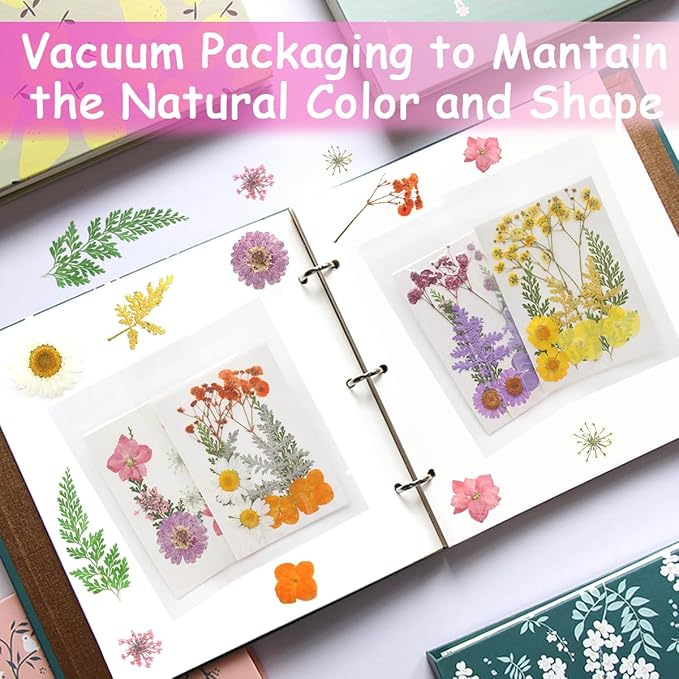 Real Dried Pressed Leaves for Candle Resin Jewelry Soap Nail Pendant Phone Case Crafts Making Floral Decors Scrapbooking DIY (40 Pcs Natural Leaf Flowers)