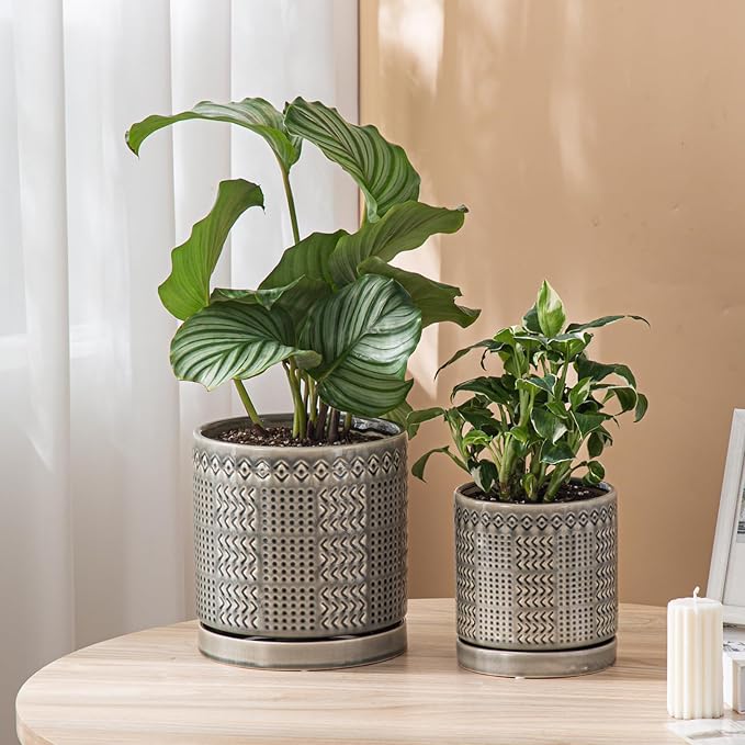 Indoor-Outdoor Ceramic Plant Pots: 6 Inch Flower Pots with Drainage Hole & Saucer - Decorative Ceramic Pots for Plants Herbs Succulents - Home Garden Patio Lawn Use (Grey)