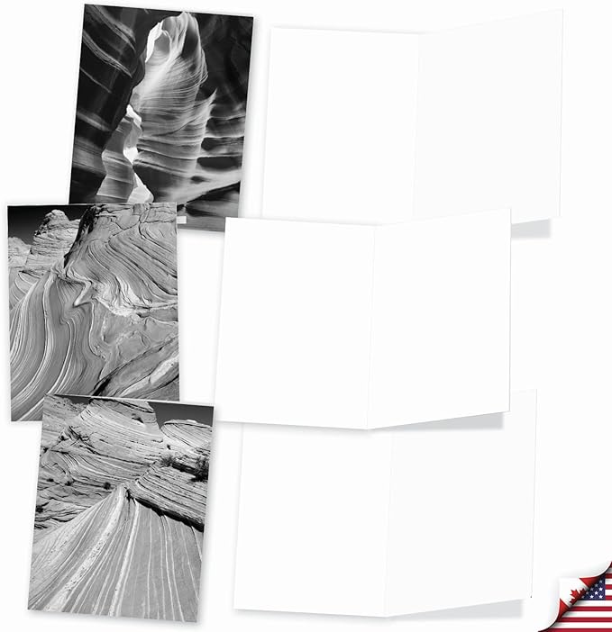 The Best Card Company - 10 Blank Note Cards with Envelopes (4 x 5.12 Inch) - Black & White Photos, Bulk Boxed Set - Free Forms M3310