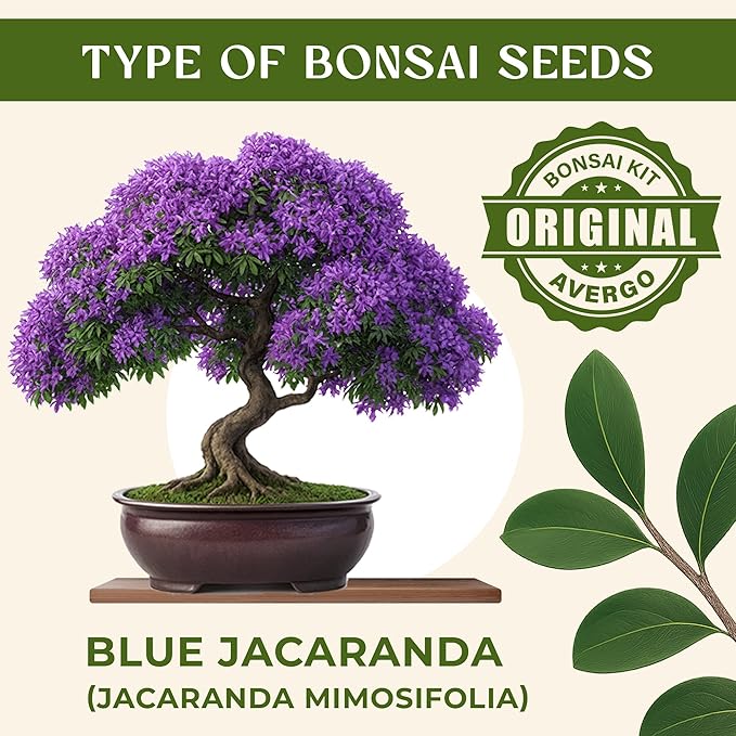 Bonsai Starter Kit – Growing Jacaranda Bonzai Tree | Complete Indoor Tree Kit for Growing Plants with Tools & Planter – Gardening Gifts for Mother, Women & Men