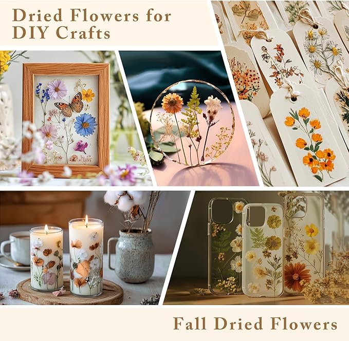 DALARAN Dried Flowers for Resin 100pcs Natural Flowers and Leaves Compressed Vacuum Packed DIY Pressed Flowers for Epoxy Jewelry Candles Soap Nail Production