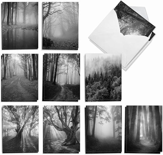 The Best Card Company - 20 All Occasion Blank Greeting Cards (4 x 5.12 Inch) - Monocolor Photos (10 Designs, 2 Each) - Misty Woods AM7167OCB-B2x10