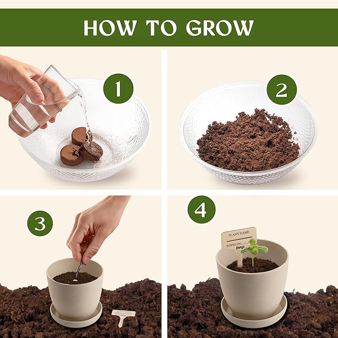 Bonsai Starter Kit – Growing Jacaranda Bonzai Tree | Complete Indoor Tree Kit for Growing Plants with Tools & Planter – Gardening Gifts for Mother, Women & Men