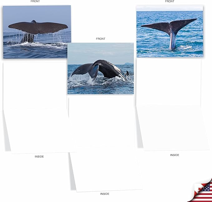 The Best Card Company - 10 All Occasion Blank Cards (4 x 5.12 Inch) - Nautical, Ocean, Sea Life Assortment of Notecards - Tales AM6839OCB-B1x10