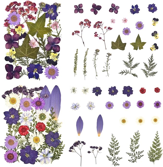 DALARAN 100Pcs Purple Dried Pressed Flowers for Resin Molds Real Dried Flowers Leaves Kit for Art Crafts Resin Jewelry Making Scrapbook Supplies Card Making Soap Candle DIY