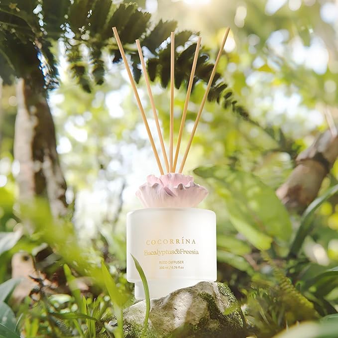 COCORRÍNA Gypsum Flower Reed Diffuser – Eucalyptus & Freesia Scent, 6.76 oz Oil with 8 Sticks, Long-Lasting Home Fragrance for Bathroom Décor