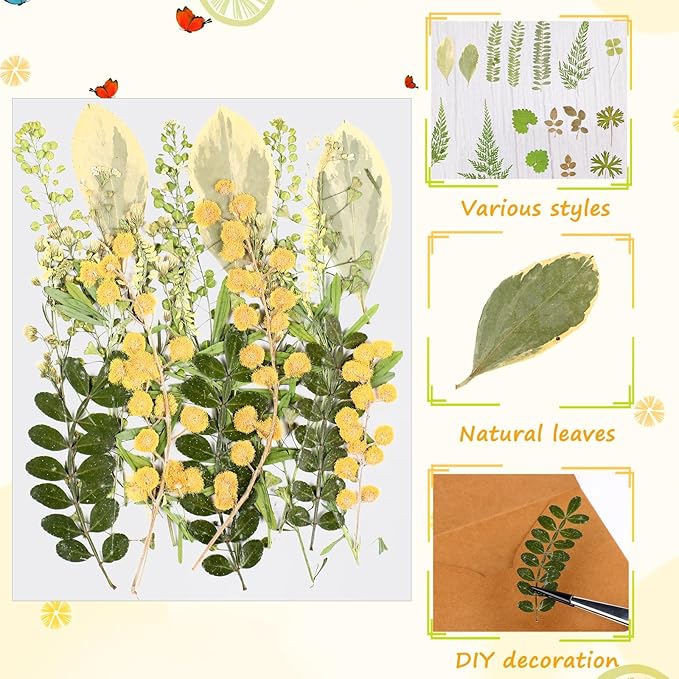 Nuanchu 99 Pieces Assorted Pressed Leaves for Crafts Real Dried Leaves for Resin Plant Herbarium Flowers for Art Craft DIY Jewelry Decoration Handmade Bookmarks, 5 Bags (Stylish Style)