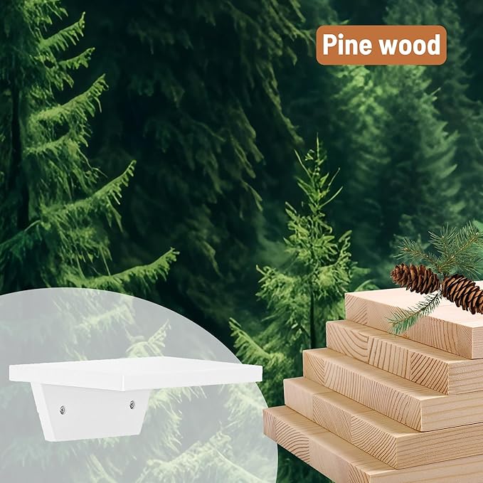 PHOENANCEE Small Floating Shelves,Speaker Shelf,Trapezoid Wall Shelf for Table Lamp Plants Display,Decorative Wood Ledges Chic for Living Room,Bedroom,Kitchen,Office,Pine,8x6 Inch,4 Pack(White)