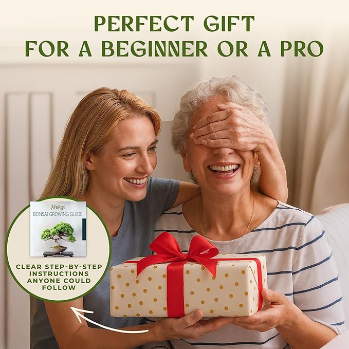 Bonsai Starter Kit – Growing Jacaranda Bonzai Tree | Complete Indoor Tree Kit for Growing Plants with Tools & Planter – Gardening Gifts for Mother, Women & Men