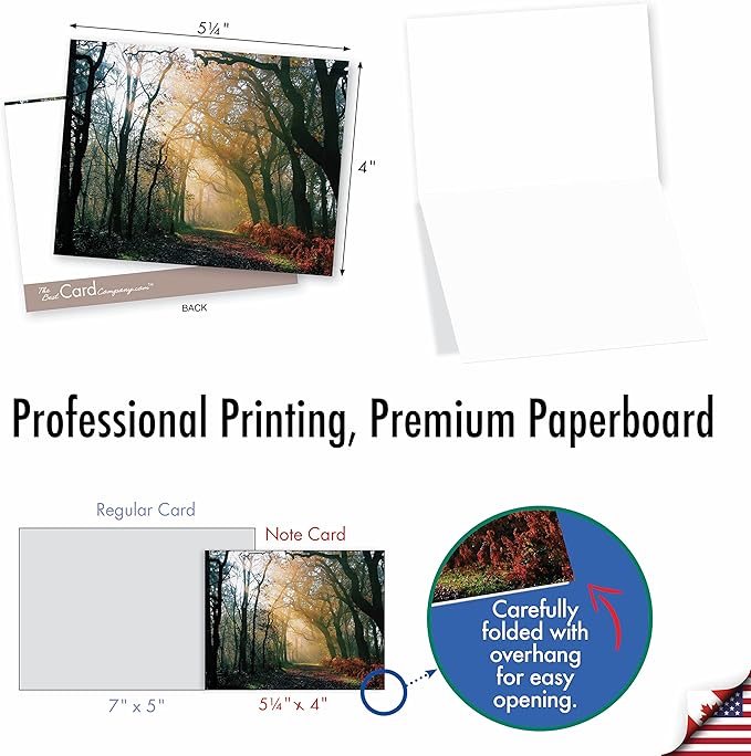 The Best Card Company - Box of 10 All Occasion Cards Blank (4 x 5.12 Inch) - Scenic Landscape Cards Assorted - Shining Through M1735BN