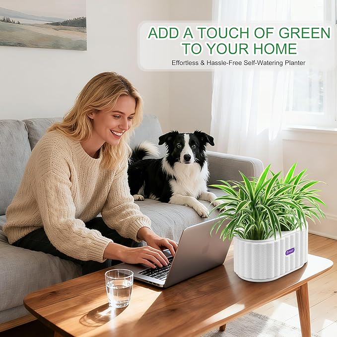 HOSUN 4 Inch Dual Compartment Self Watering Planter - Indoor Plastic Plant Pot with Drainage Holes, Reservoir & Wicking Rope, Low Maintenance Modern Flower Pot for Succulents/Aloe Vera (White)