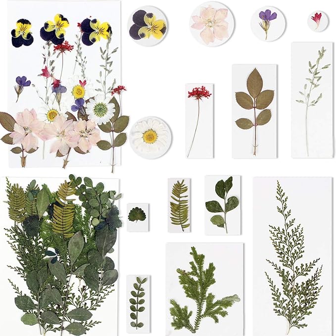 BIHRTC 100PCS Dried Flowers for Resin Real Dry Flower Natural Pressed Died Leaves Sunflowers Chrysanthemum Resin Small Colorful Pressed Flowers Daisies for Candle Jewelry Nail Pendant Making