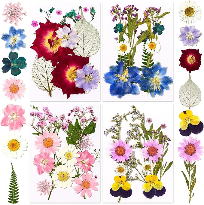 Pressed Dried Flowers for Resin Crafting, Pressed Flowers Natural Preserved Petals & Leaves for Art, Candles, Scrapbooking, Nail Art, Floral Decor