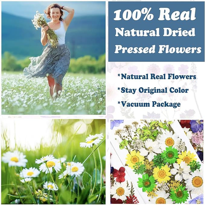 84 Pcs Green Dried Pressed Flowers Real Natural Leave for DIY Resin Molds Candle Jewelry Nail Crafts Gifts
