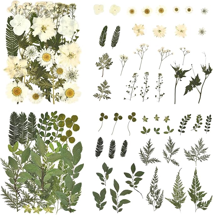 DALARAN Dried Flowers for Resin 100pcs Natural Flowers and Leaves Compressed Vacuum Packed DIY Pressed Flowers for Epoxy Jewelry Candles Soap Nail Production