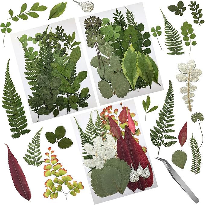Cinvo 63 Pcs Real Dried Pressed Leaves Natural Dried Leaf for Candle Resin Jewelry Soap Nail Pendant Phone Case Crafts Making Floral Decors Scrapbooking DIY, 21 Styles