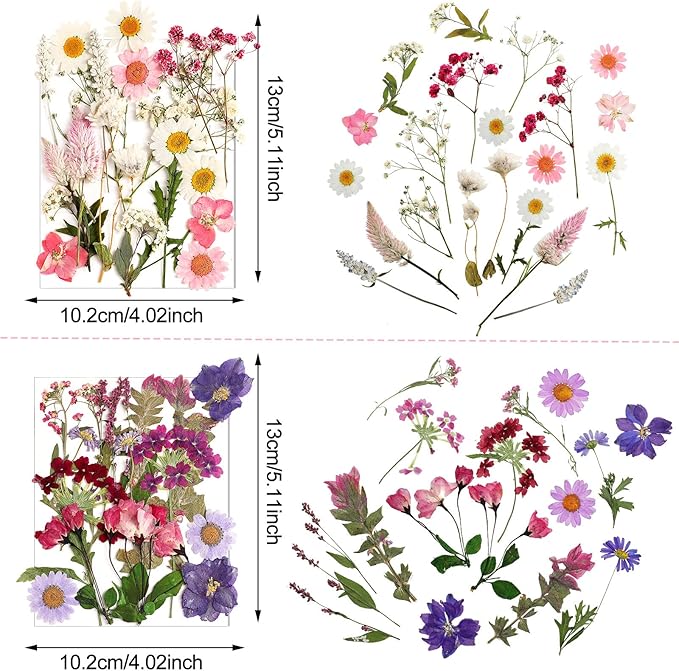 Nuanchu Pressed Flowers Bulk Dried Flower for Crafts Dried Wildflowers Leave Natural with Tweezer for Resin Mold Candles Cake DIY Christmas Craft Card Making Wedding Scrapbooking Supplies