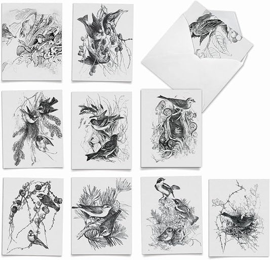 The Best Card Company - 10 Bird Note Cards Blank (4 x 5.12 Inch) - All Occasion Cards with Envelopes, Boxed Set - Wing Notes M6475OCB