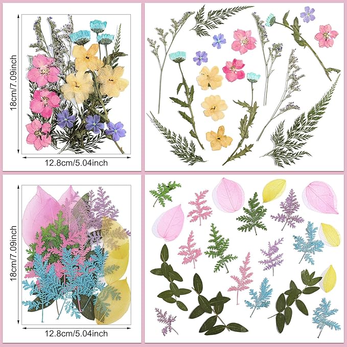 Nuanchu Pastel Dried Flower for Crafts Resin Pressed Flowers Bulk Real Dried Wildflowers Leave Natural with Tweezer for Scrapbooking Nail Soap Candle Cake Card Making DIY Christmas Craft Supplies