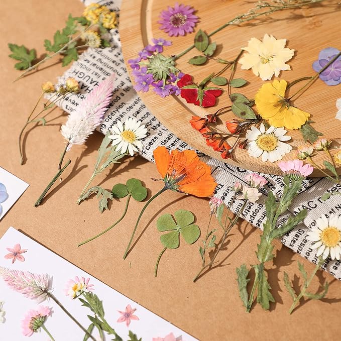 Nuanchu Pressed Flowers Bulk Dried Flower for Crafts Resin Real Dried Wildflowers Leave Natural with Tweezer for Christmas Craft Supplies Resin Mold Scrapbooking Nail Soap Candle Cake Card Making DIY
