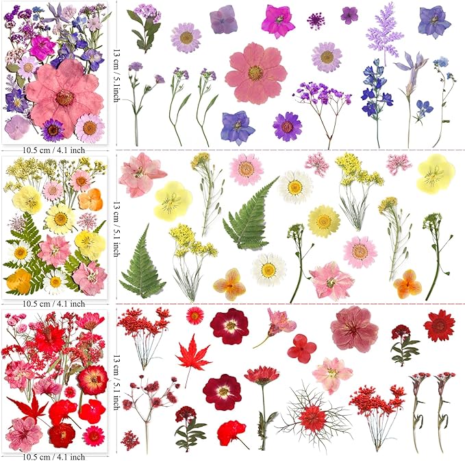 182Pcs Dried Pressed Flowers for Resin Molds, Assorted Real Natural Bulk Dry Floral Leaves for DIY Art Crafts, Epoxy Jewelry, Candle, Soap Making, Nails Decors Gifts