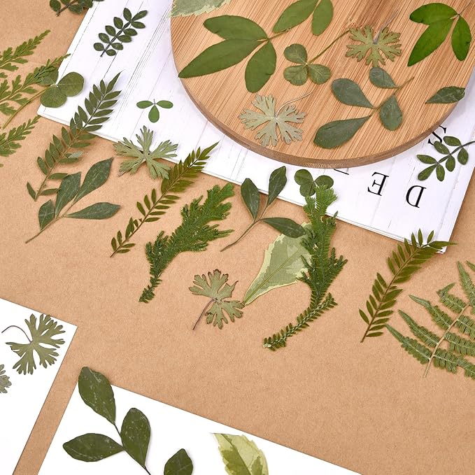 DALARAN 42 PCS Dried Flowers for Craftsl Dried Pressed Leaves Natural Leaves for Pressed Leaf Art Craft DIY ,14 Styles