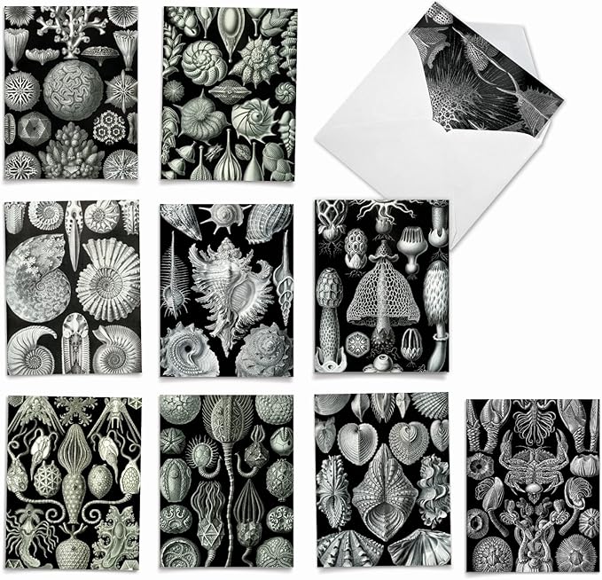 The Best Card Company - 10 Blank Note Cards with Envelopes (4 x 5.12 Inch) - Black & White Photos, Bulk Boxed Set - Sea World M9693OCB