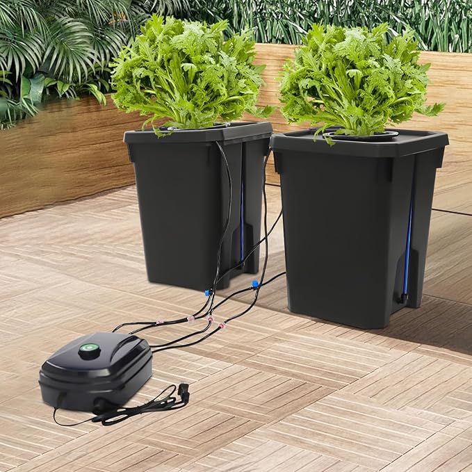 Hydroponics Growing System with Top Drip Kit, 5 Gallon Deep Water Culture Bucket System with 12W Air Pump, Recirculating Drip Garden System for Growing Plants Flowers Vegetables Fruits