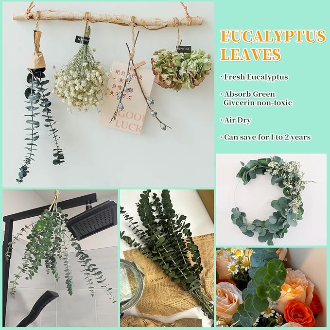 21 Pcs Real Dried Eucalyptus Stems, 17" Natural Fresh Eucalyptus Branches for Shower, Greenery Leaves for Vase Filler, Fragrance, Fresh Silk Dry Live Plants Decor