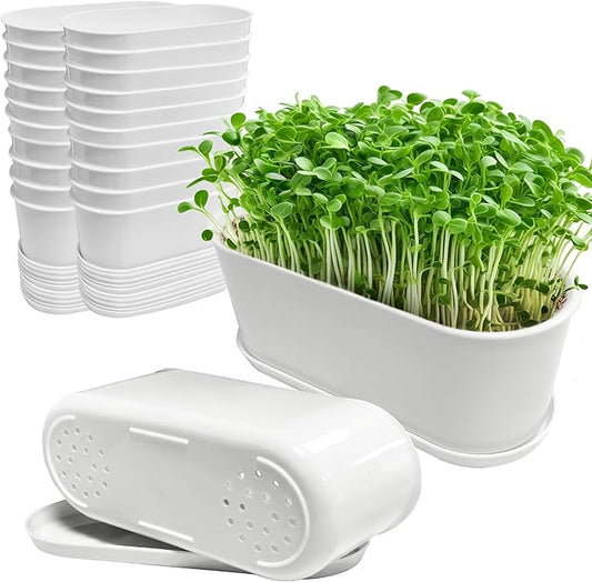 20 Set Window Herb Planter Box Rectangular,8.5x3.5 Inch White Plastic Planters with Multiple Drainage Holes and Trays,Indoor Succulent Cactus Mint Flower Pot for Windowsill,Garden Balcony