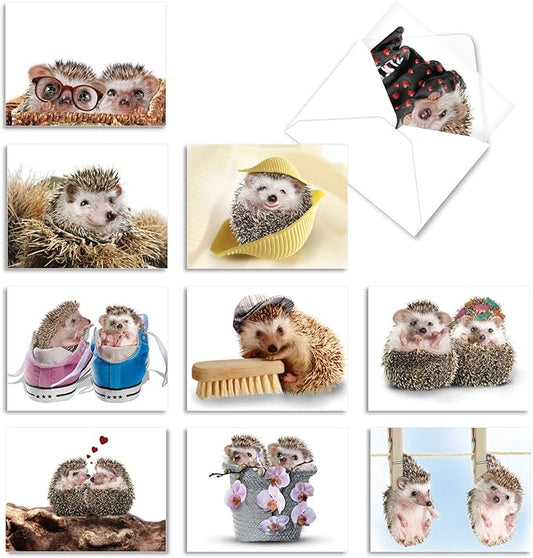 The Best Card Company - 10 Blank Animal Cards Boxed (4 x 5.12 Inch) - Assorted Pets, Zoo, Wildlife Cards for Kids - Cards from the Hedge M6541OCB