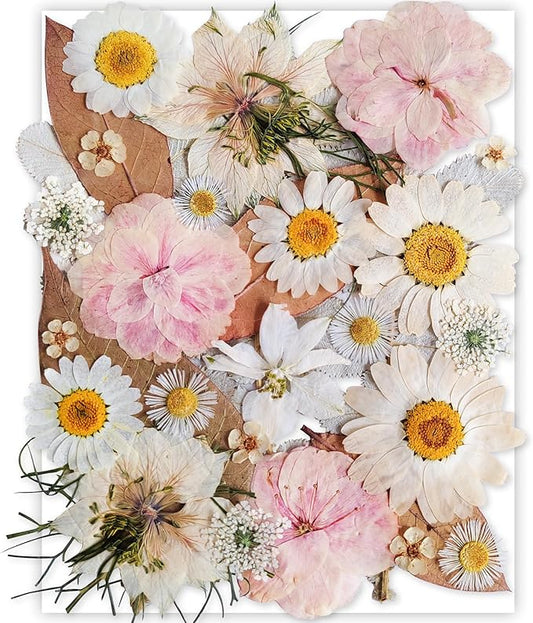 13 Types 37pcs White Dried Pressed Flowers for Resin Molds,Real Natural Pressed Flowers for DIY Art Crafts,Candle Making, Nails Décor,Soap Making, Phone Case