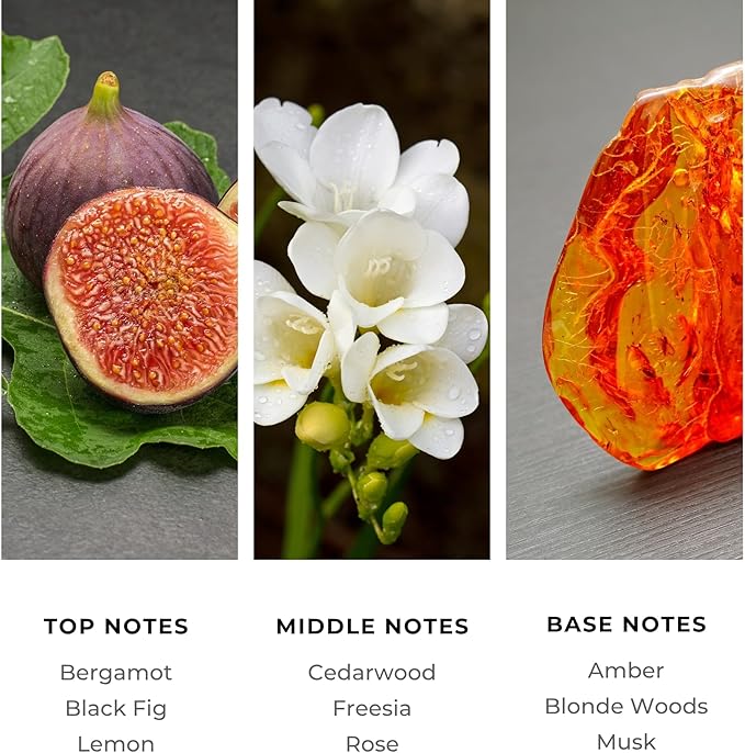 Brilliant Scents - Sugar Beach | Destination Series - Luxury Home & Business Scent | Ginger, Lemon Peel, Rosewater - Fragrance Oil - 200ml