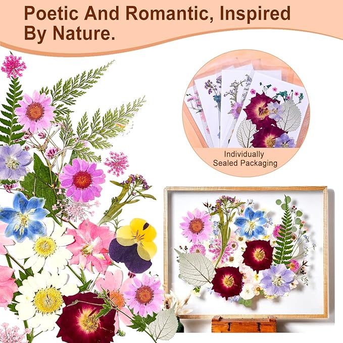 Pressed Dried Flowers for Resin Crafting, Pressed Flowers Natural Preserved Petals & Leaves for Art, Candles, Scrapbooking, Nail Art, Floral Decor