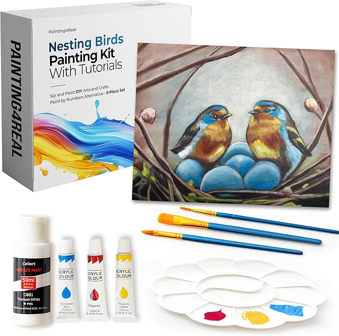 DIY Painting Class Kit for Adults with Video Tutorials: Learn to Paint Nesting Birds – How to Paint with Acrylics – Painting & Art Supplies – 9 Piece Acrylic Paint Set