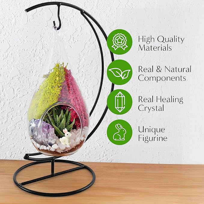 Plant Terrarium Kit W/Live Succulent (Fresh from Florida), Choose Your Glass DIY Terrarium Starter Kit for Adults, Metal Stand, Reindeer Moss, Crystal & Rocks, Tools, Figurine