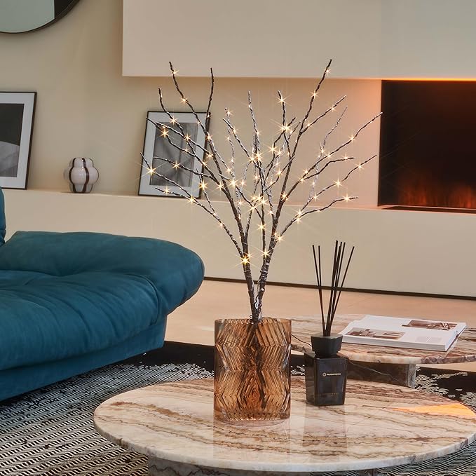 Hairui Lighted Willow Branches Snow Dusted Battery Operated with Timer, Tree Branch Lights 32IN 100 LED Fairy Lights for Home Bedroom Fireplace Thanksgiving Christmas Decor (Vase Excluded)