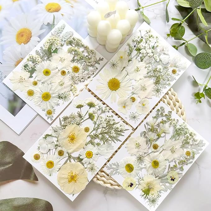 95 Pcs White Pressed Dried Flowers for Resin, Real Natural Bulk Dry Wildflowers Leaves Perfect for Epoxy Molds, DIY Crafts, Home Decor, Soap Candles Jewelry Making